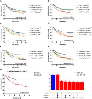 Co-expression patterns of cancer associated fibroblast markers reveal distinct subgroups related to patient survival in oropharyngeal squamous cell carcinoma